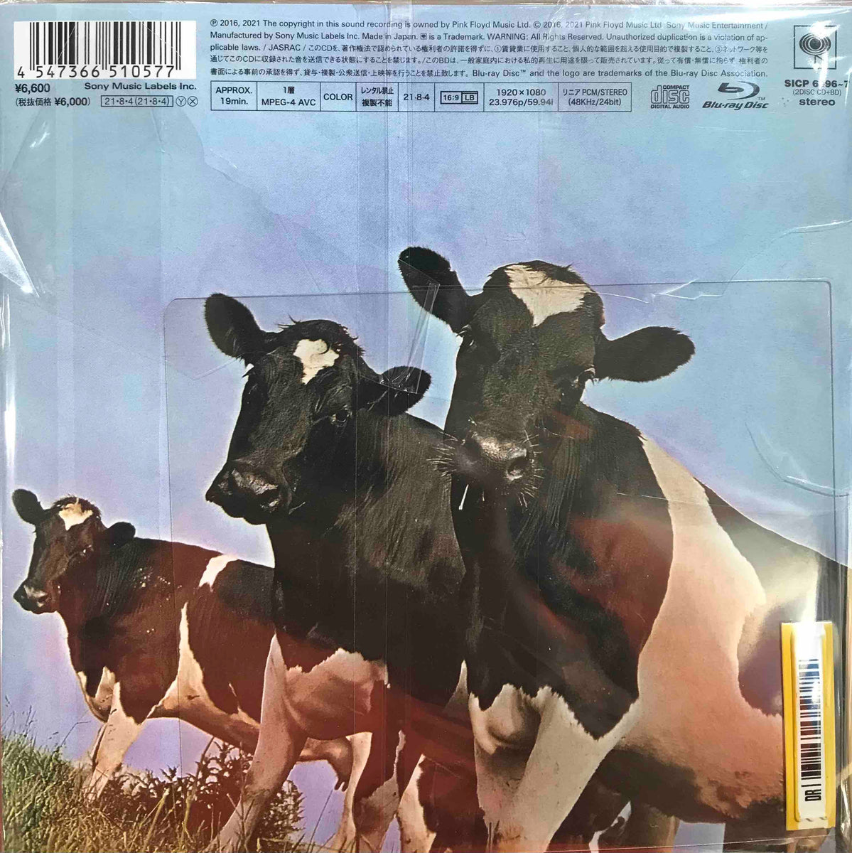 PINKFLOYDVACA2_1200x1200.jpg?v