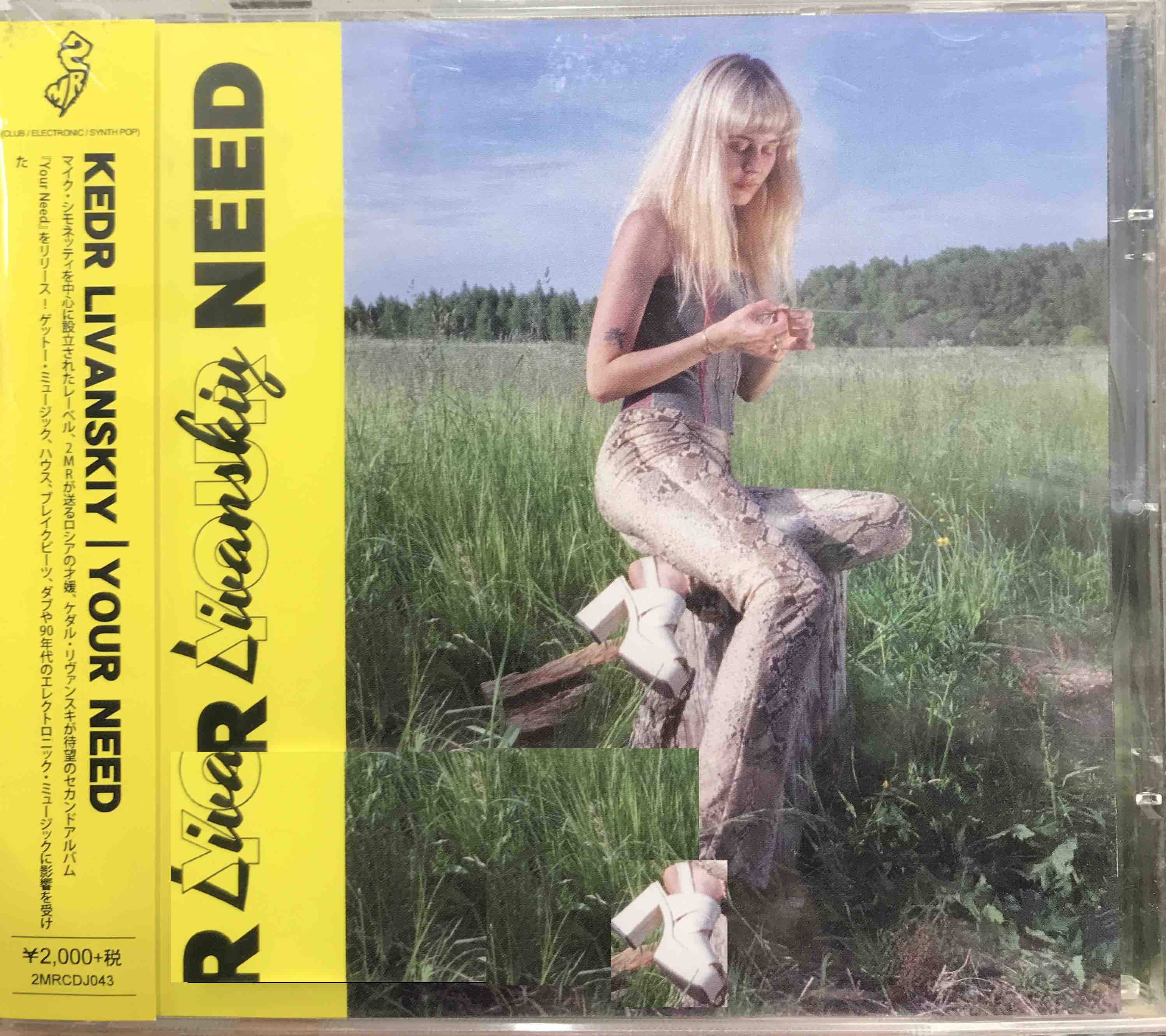 Kedr Livanskiy ‎– Your Need     (Pre-owned)