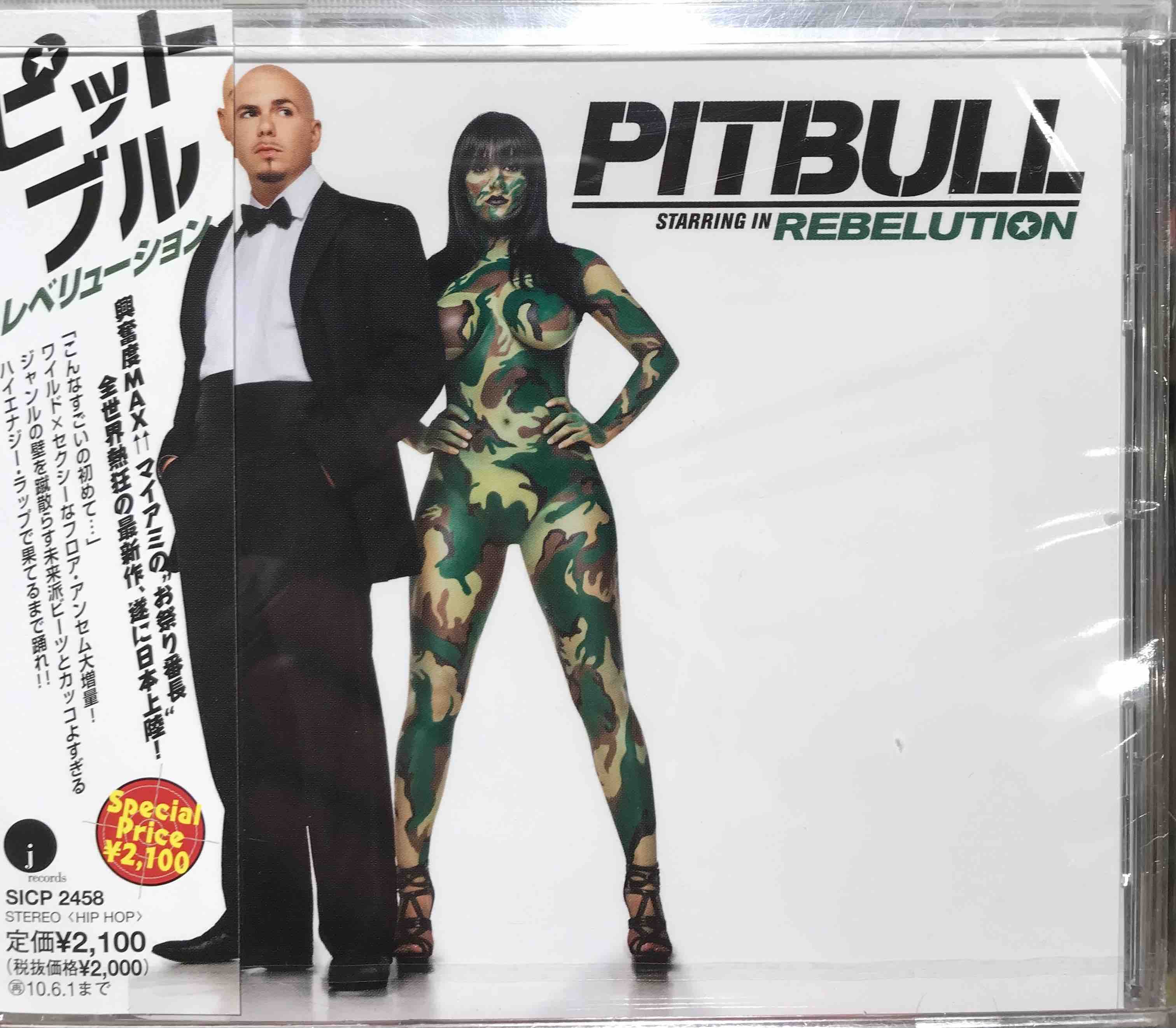 Pitbull Rebelution Surface Records