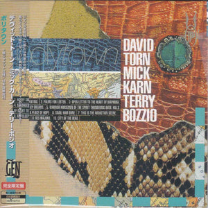 David Torn / Mick Karn / Terry Bozzio ‎– Polytown
