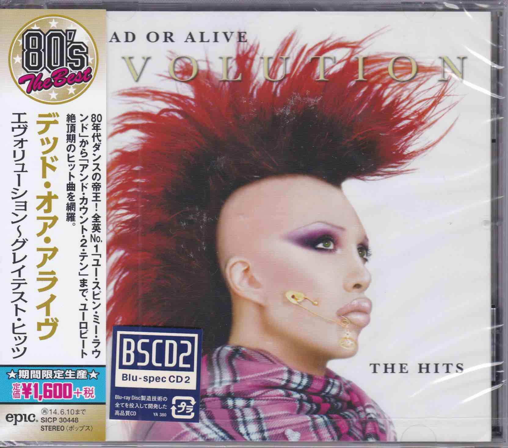 Dead Or Alive ‎– Evolution: The Hits     (LIKE NEW)