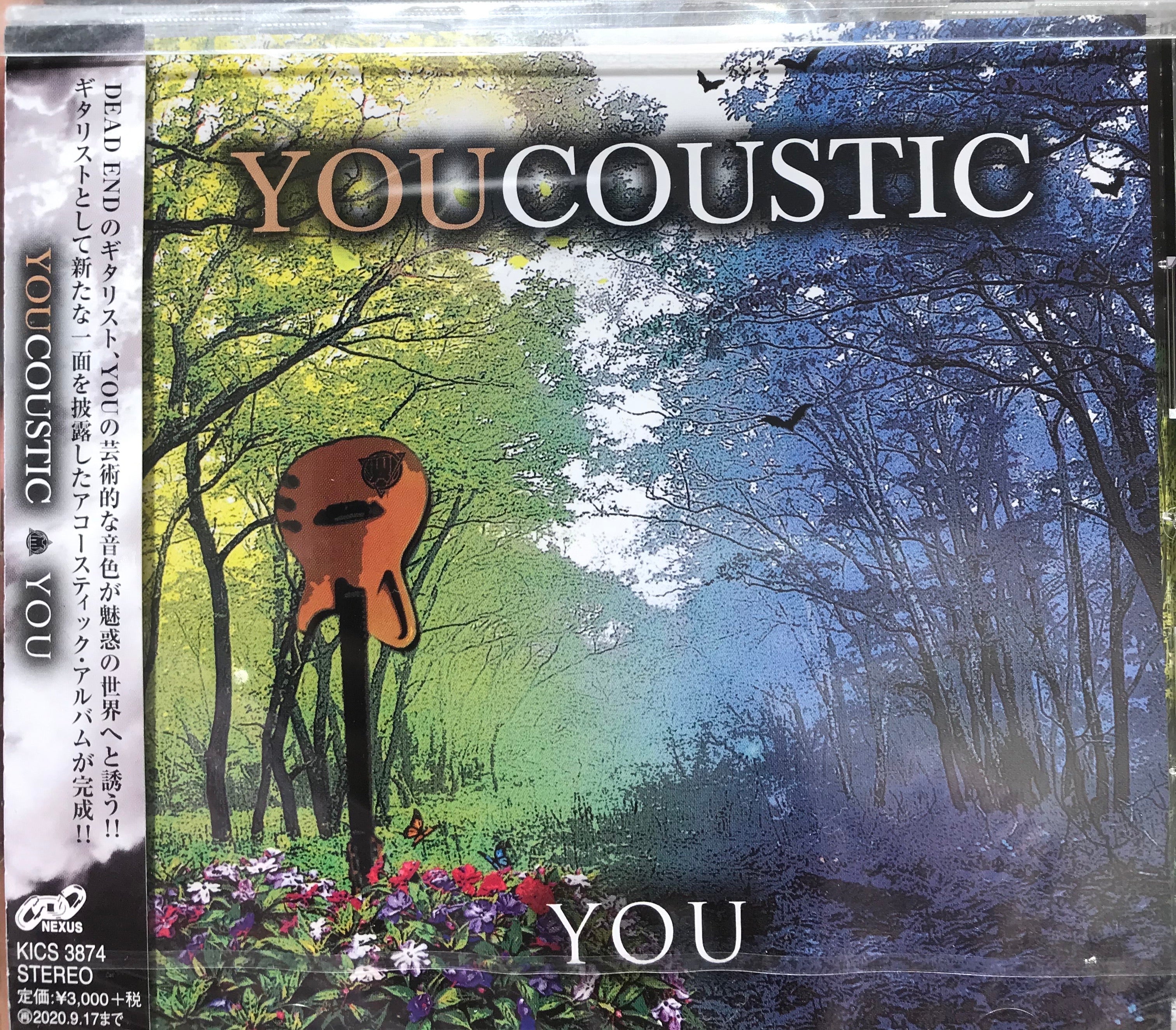 You - Youcustic